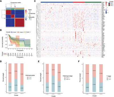 Hepatitis B-related hepatocellular carcinoma: classification and prognostic model based on programmed cell death genes